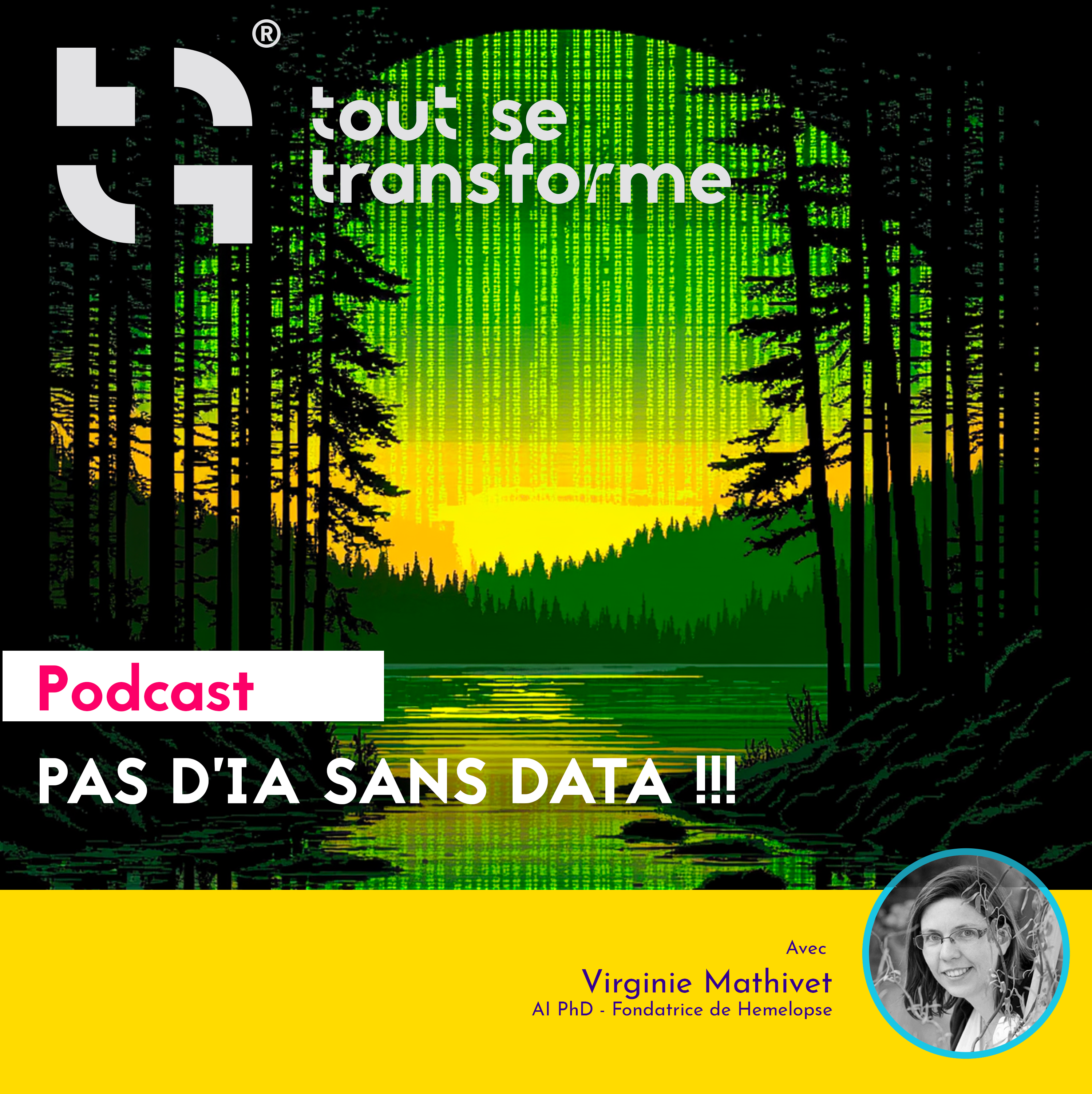 PODCAST – Pas d’IA sans DATA ! (ft. Virginie Mathivet)